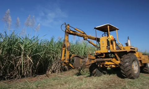 Ternyata Ini Penyebab Produksi Gula Indonesia Kalah Saing dari Brazil