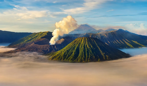 1. Bromo