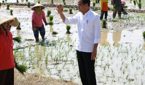 Tasirah pun langsung disambut perasaan senang dan menyalami pada Presiden dan membawa sepeda bertuliskan Sepeda Presiden Jokowi itu kembali ke tempat duduknya.<br>