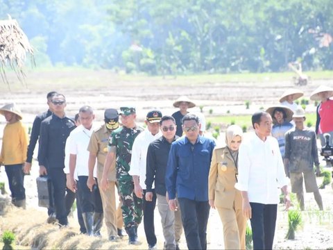 Jenderal-Jenderal TNI-Polri 'Jebolan' Solo Sambut Jokowi, Bintang Empat Dampingi ke Sawah