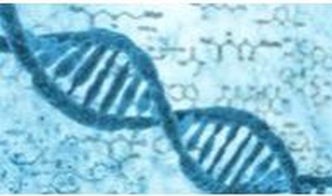 Telomer berada di suatu wilayah dalam rangkaian DNA yang terkait dengan umur panjang.