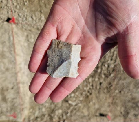 Revealed, in This Cave Ancient Humans Once Lived Alongside Bears