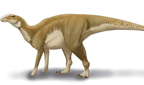 1. Haddy, si Hadrosaurus