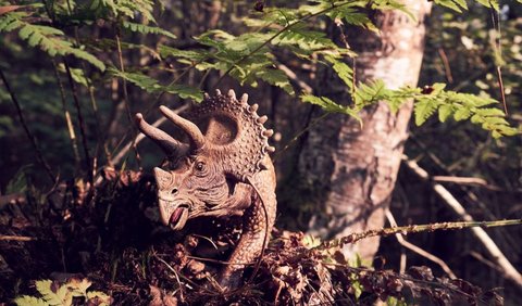 6. Horridus, sang Triceratops