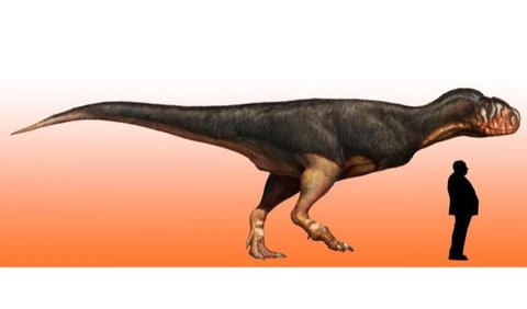 In the end, the scientists concluded that the bones belonged not to one, but two new species of abelisaurid.