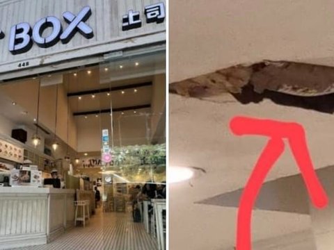 Restaurant Ceiling Suddenly Collapses, Visitors Shocked to See Python on the Roof, Its Appearance Sends Chills Down the Spine!