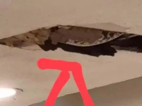 Restaurant Ceiling Suddenly Collapses, Visitors Shocked to See Python on the Roof, Its Appearance Sends Chills Down the Spine!