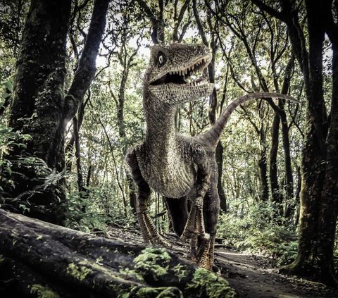 Jika Komodo dan Velociraptor Bertarung, Siapa yang Menang?