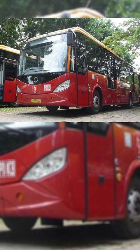 4 Potret Bus Kota Laksana Model Cityline Memanjakan Teman Setia ...