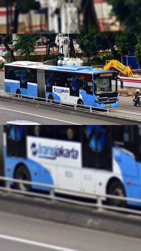 4 Potret Bus Kota Laksana Model Cityline Memanjakan Teman Setia ...