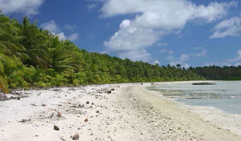 <b>1. Palmyra Atoll, U.S. Minor Outlying Islands</b><br>