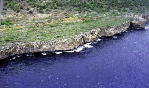 <b>8. Navassa Island, U.S. Minor Outlying Islands</b><br>