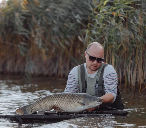 17 Meanings of Dreaming About Snakehead Fish That Are Said to Indicate Future and Romance