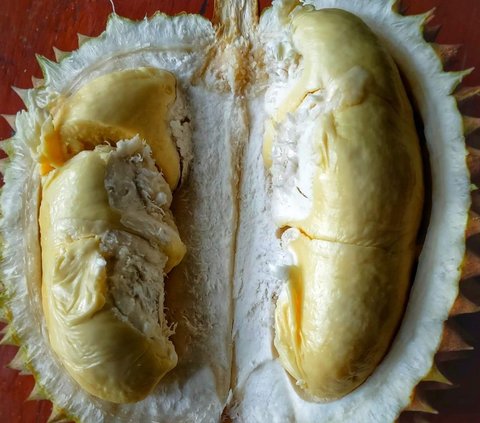 Mengunjungi Desa Wisata Banjaroya, Surganya Pecinta Durian di Kulon Progo