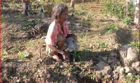 Kisah Mbah Soiman, Nenek yang Hidup Sebatang Kara di Desa Terpencil Ponorogo