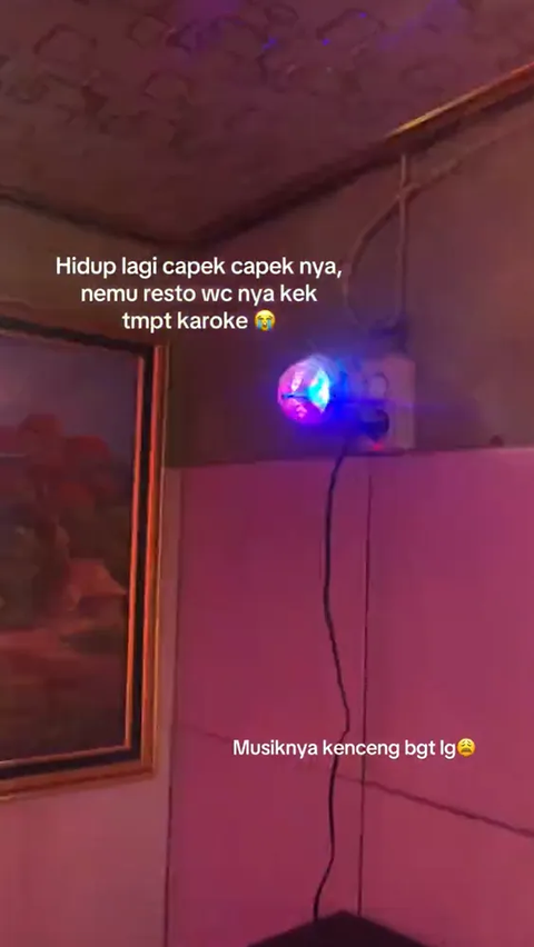 Momen Wanita Masuk Toilet Restoran Serasa Tempat Karaoke, Ada Speaker hingga Lampu Kelap-kelip