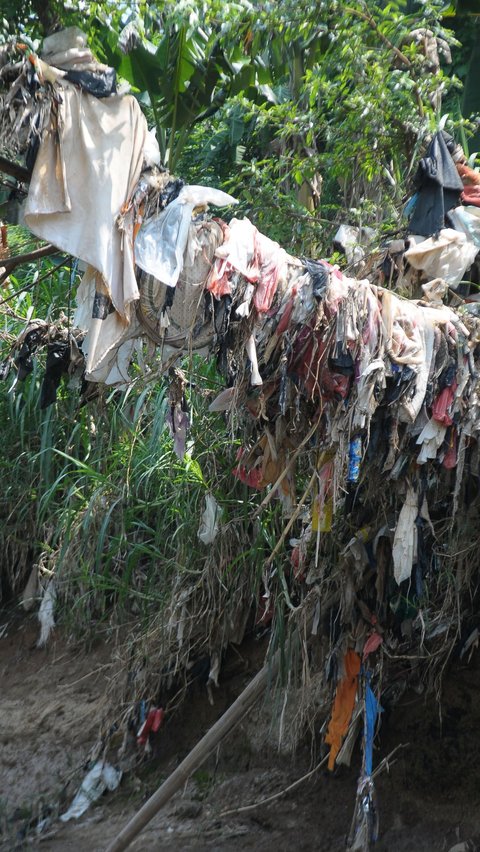 Dalam aksinya, mereka turut membersihkan sampah plastik yang tersangkut pada ranting pohon.