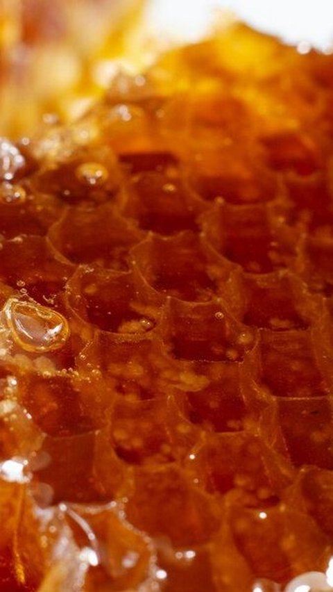 Dengan memahami manfaat sarang madu, Anda dapat mengintegrasikannya ke dalam pola makan sehat Anda untuk mendukung kesehatan tubuh secara menyeluruh.