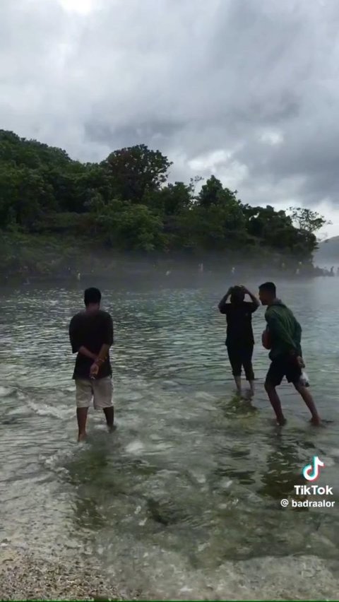 Viral Fenomena Air Laut Dingin di Alor, Ikan-Ikan sampai Pingsan