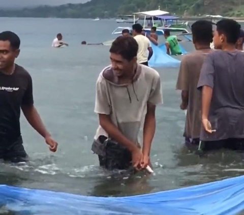 Viral Fenomena Air Laut Dingin di Alor, Ikan-Ikan sampai Pingsan