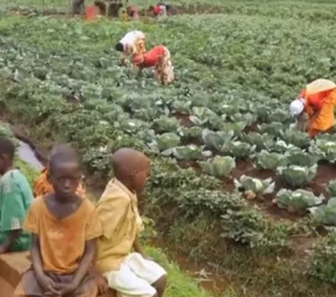Negara Termiskin di Dunia, Hanya Bisa Bertani untuk Makan Sehari-Hari