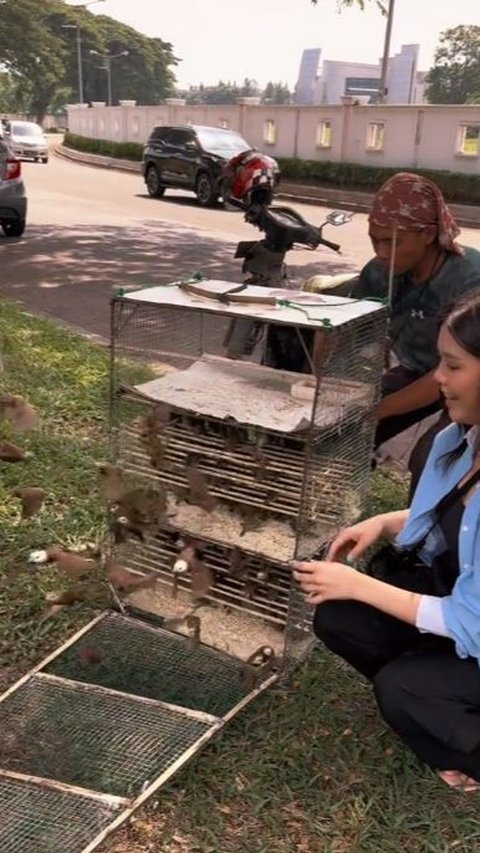 Viral Aksi Wanita Abadikan Momen Lepaskan Burung yang Sudah Dibeli, Aksinya Banjir Pujian<br>
