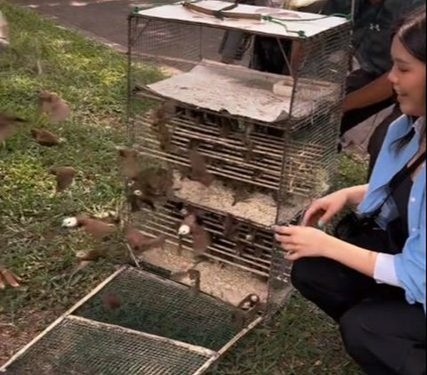 Viral Aksi Wanita Abadikan Momen Lepaskan Burung yang Sudah Dibeli, Aksinya Banjir Pujian