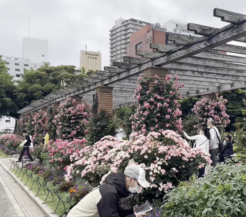 10 Daya Tarik Wisata Yamashita Park, Taman Cantik yang Menghadap Pelabuhan Yokohama