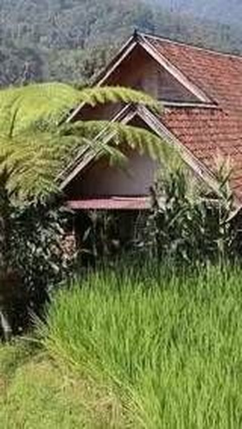 Potret Rumah Bambu di Kampung, Penampakan Toiletnya Bikin Melongo