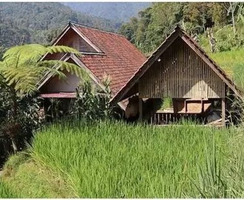 Potret Rumah Bambu di Kampung, Penampakan Toiletnya Bikin Melongo