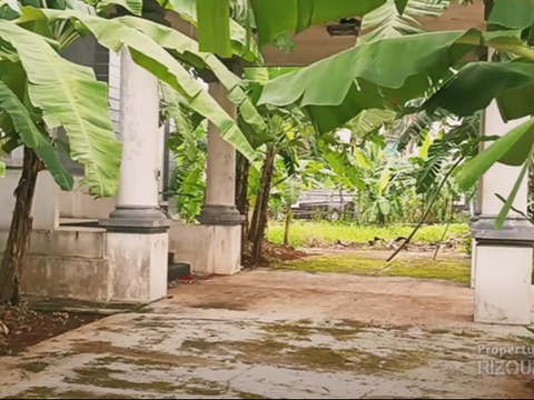 Potret Rumah Mewah Putih Terbengkalai Sering Digunakan Syuting di Indosiar, Halamnya Banyak Pohon Pisang
