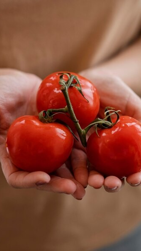 Jadi, jadikanlah tomat sebagai bagian dari ritual kecantikan Anda dan nikmati kulit wajah yang sehat dan berseri!
