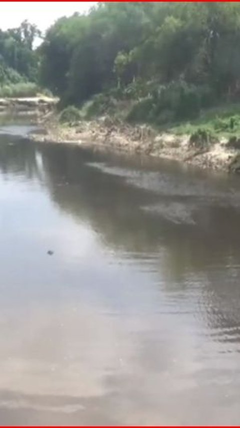 Fakta di Balik Tercemarnya Sungai Bengawan Solo, Bencana Rutin Tiap Tahun