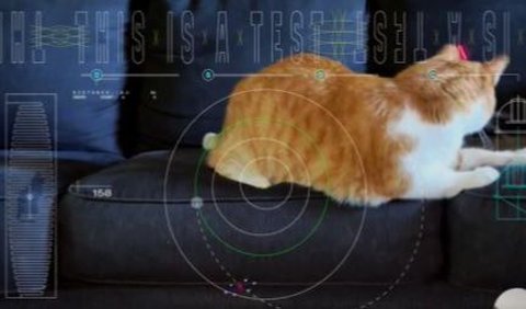 Video ini diunggah sebelum diluncurkan dan memperlihatkan Tabby, peliharaan seorang karyawan JPL, mengejar sinar laser di sofa, dengan grafik uji yang mencakup jalur orbit Psyche dan informasi teknis tentang laser dan kecepatan bit datanya.