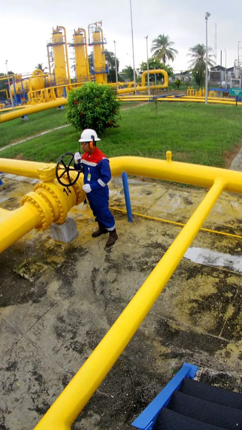 PGN Siapkan 14 Strategi Jalankan Bisnis Berkelanjutan dalam Pemanfaatan Gas Bumi