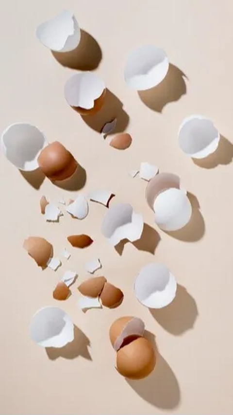 10 Manfaat Lain dari Cangkang Telur