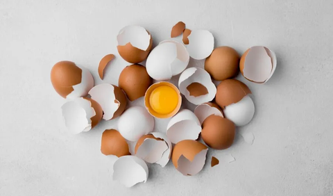 4. Alat Pemisah Kuning Telur