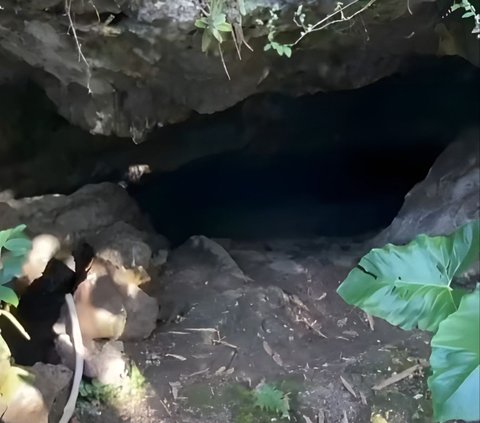 Unique! Thought to be in the Middle of the Forest, the Cave that Becomes a Popular Cave Diving Spot is Located Underneath a Resident's House