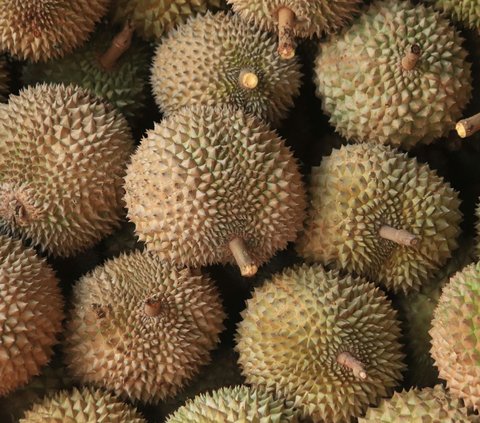 10 Manfaat Buah Durian untuk Kesehatan yang Perlu Diketahui