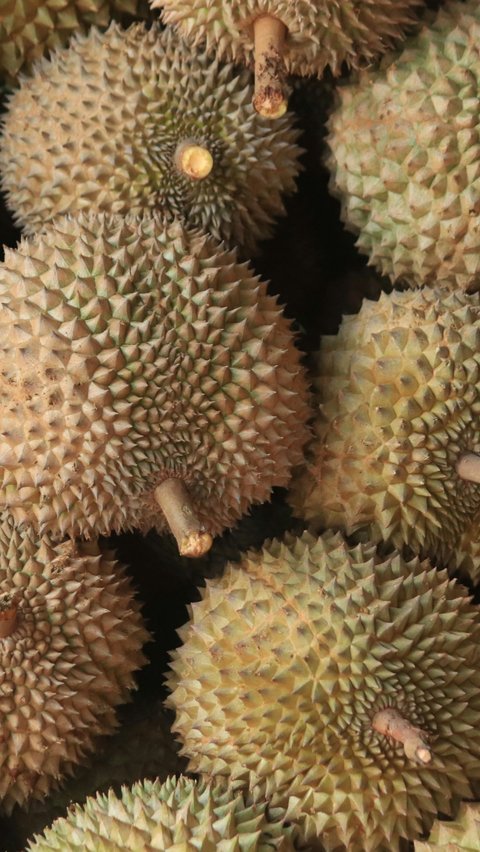 10 Manfaat Buah Durian untuk Kesehatan yang Perlu Diketahui