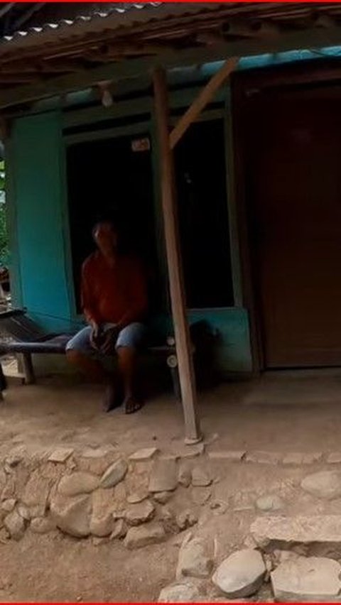 Kisah Keluarga Pemberani yang Tinggal di Kampung Mati Tengah Hutan Cilacap, Hidup Berdampingan dengan Babi Hutan