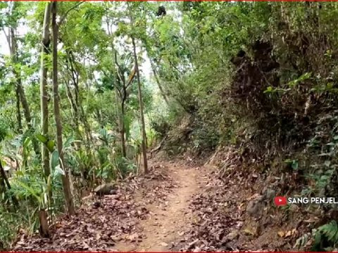 Kisah Keluarga Pemberani yang Tinggal di Kampung Mati Tengah Hutan Cilacap, Hidup Berdampingan dengan Babi Hutan