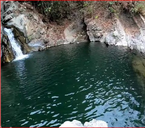 Kisah Keluarga Pemberani yang Tinggal di Kampung Mati Tengah Hutan Cilacap, Hidup Berdampingan dengan Babi Hutan