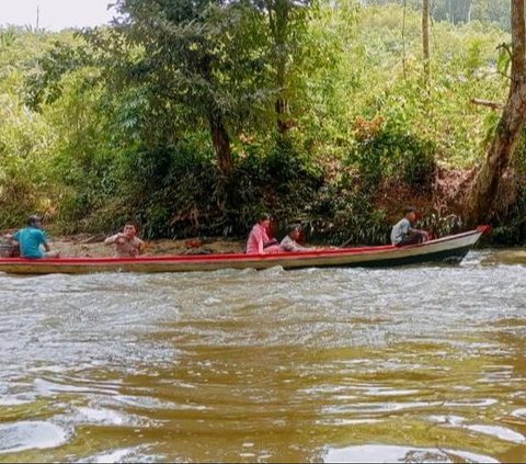 Membawa Pesan Pemilu Damai di Habitat Harimau Sumatera