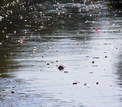 FOTO: Potret Sampah Plastik Cemari Sungai Ciliwung