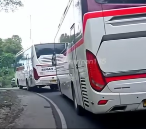 Aksi Brutal Saling Kejar-kejaran di Jalan Raya Bus Primajasa VS Sinar Jaya, Netizen Sebut Penumpangnya Auto Spot Jantung