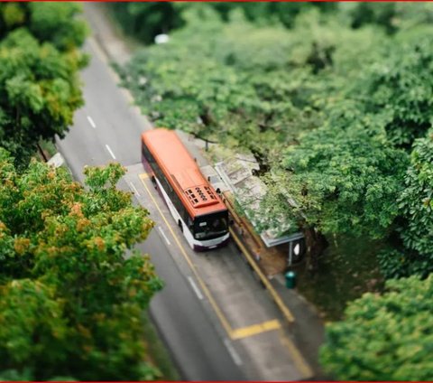 Viral Gegara Kasus Pencurian Ipad di Dalam Bus, Ini Sejarah PO Rosalia Indah