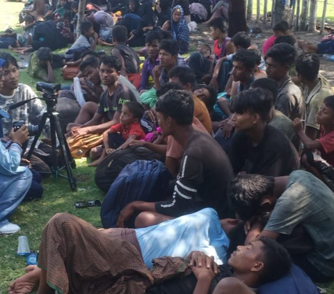 UNHCR Blak-blakan Buka Suara soal Penyelundupan Rohingya di Aceh