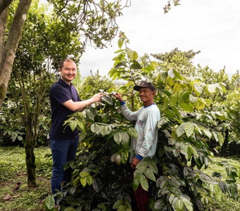 Area Panen Kopi Indonesia Terbesar Kedua Dunia tapi Produktivitas Rendah, Begini Solusinya