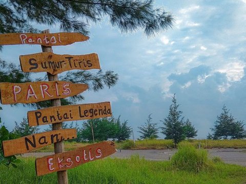 Menyaksikan Indahnya Matahari Terbenam di Pantai Tiris Indramayu, Dihiasi Deretan Pohon Cemara yang Bikin Syahdu